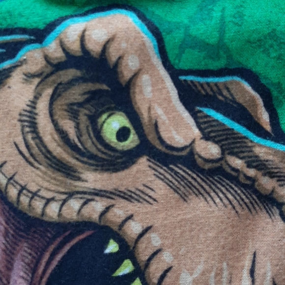 JURASSIC WORLD PAJAMAS BOYS 4/5 - Picture 5 of 5